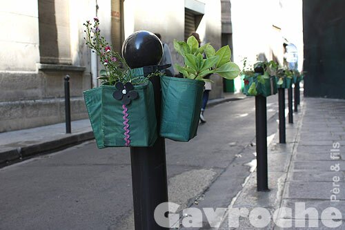 Alignement de Potogreen rue du Croissant dans le Sentier Alignement de Potogreen rue du Croissant dans le Sentier